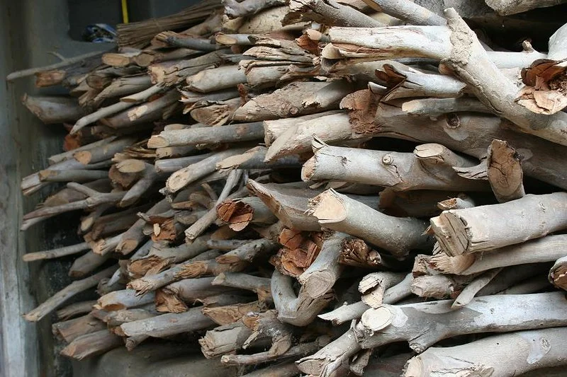 Fallen Sandalwood Tree Turns 85-Year-Old Bengaluru Man into a Millionaire Overnight