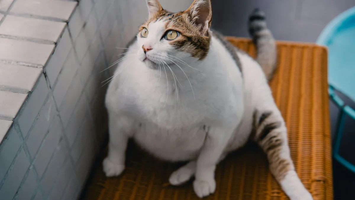 Biotech Firms Develop GLP-1 Weight-Loss Implants and Injections to Combat Pet Obesity