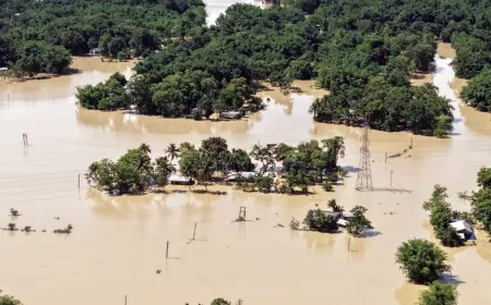 Assam Flood Situation Remains Critical as Death Toll Rises to 66; Over 6.5 Lakh People Affected