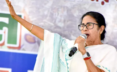 Mamata Banerjee Blames Radical Communal Forces and Rejected Political Elements for Baruipur Violence
