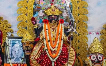 Bipadtarini Puja 2026: Auspicious Dates, Essential Rituals, and Strict Rules for the Vrata