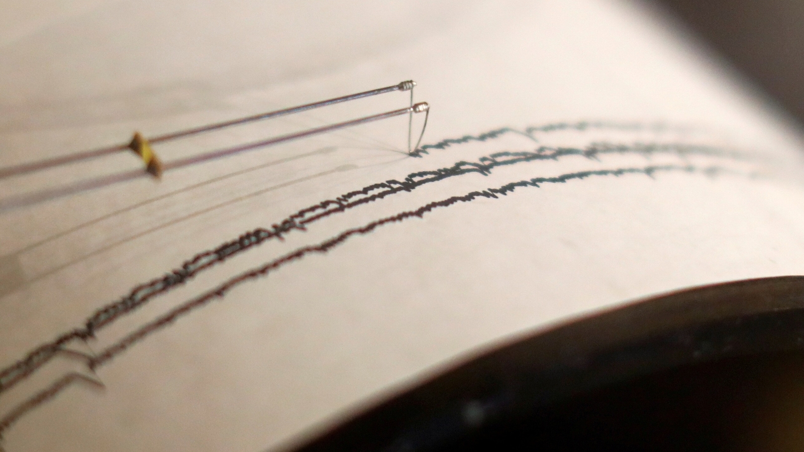 Uttarakhand Earthquake: Breaking 4.2 Magnitude Tremor Hits Uttarkashi