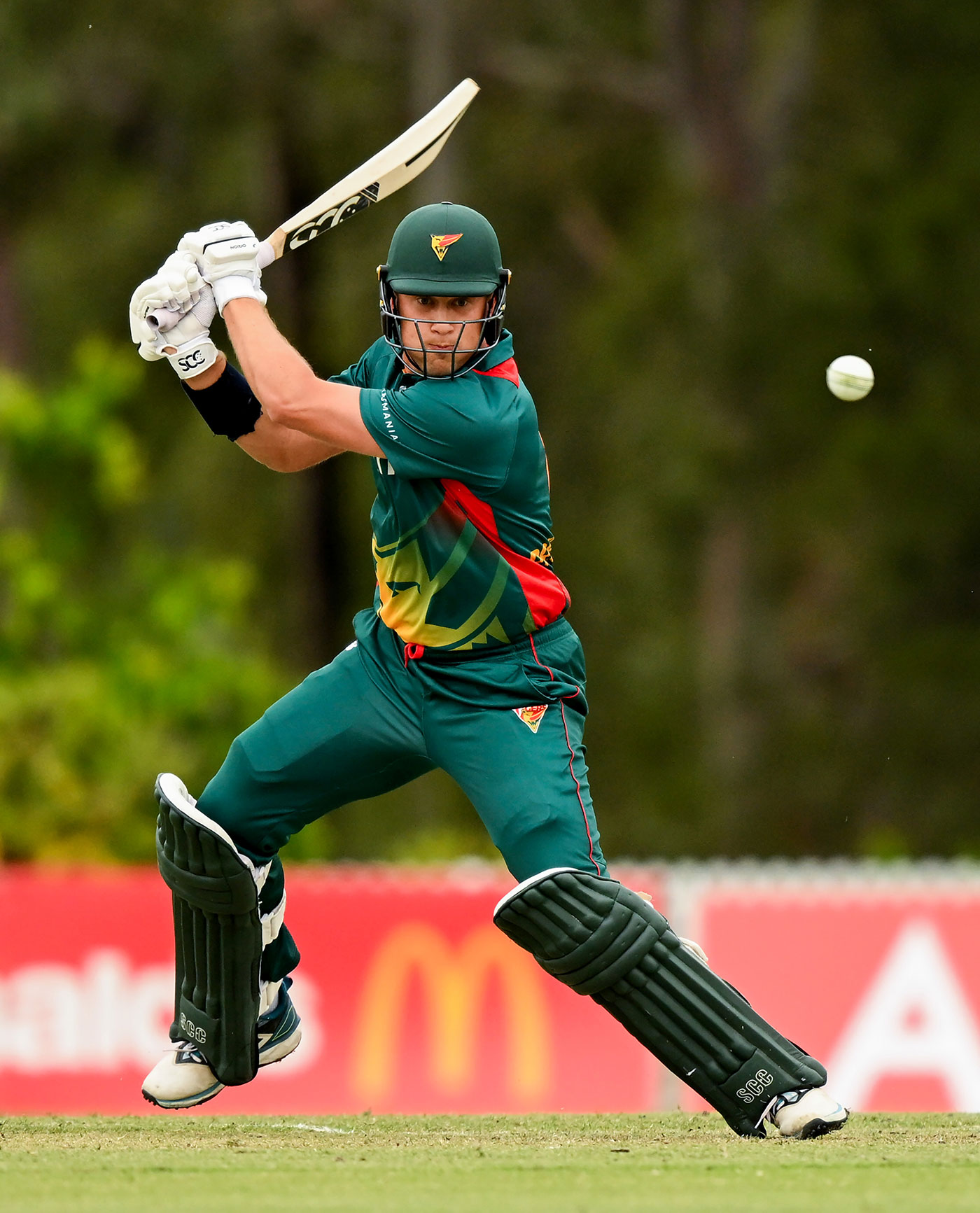 Tasmania cricket victory: New spin master Prestwidge stuns NSW