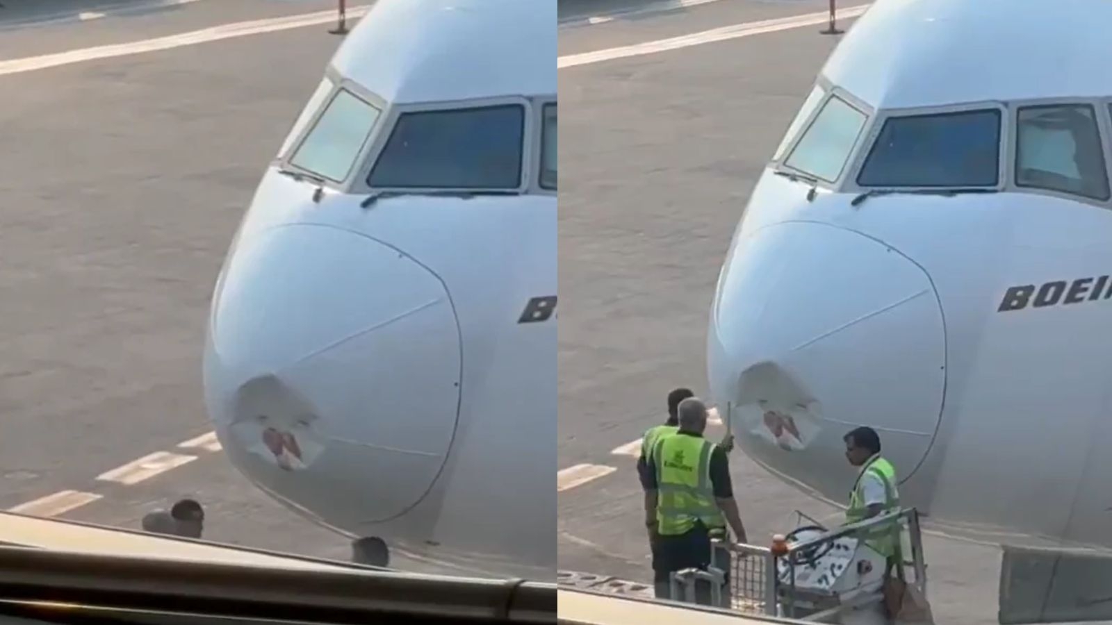 Emirates flight delayed after bird strike incident: Breaking News