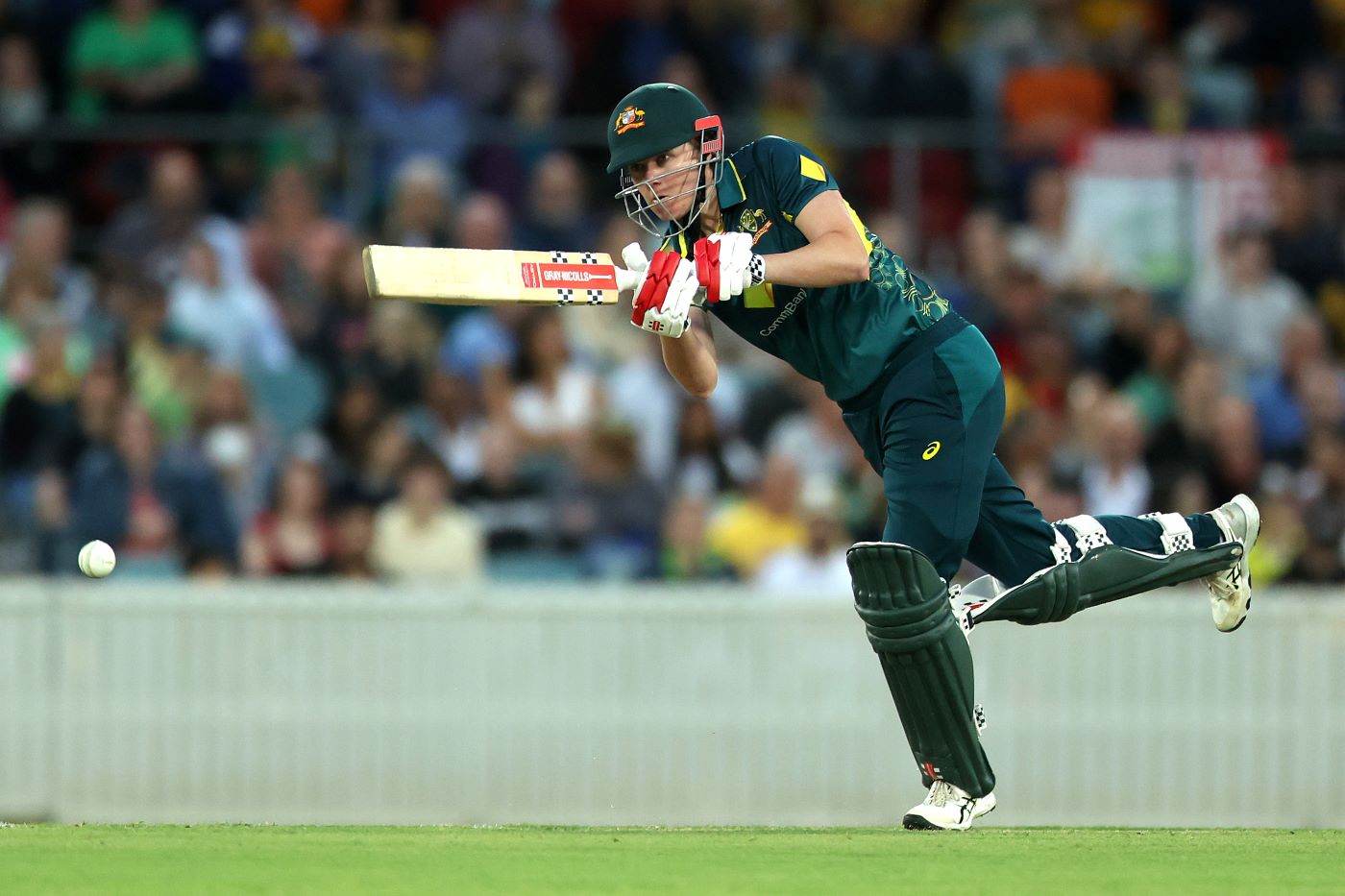 Australia women cricket: Breaking news as McGrath replaces Litchfield