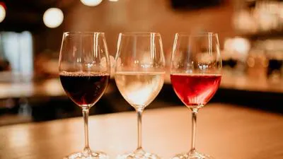 Kerala horti-wine licence: Breaking update on scrapped permit policy